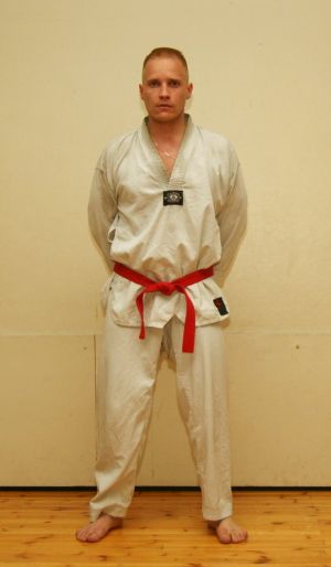 anssi